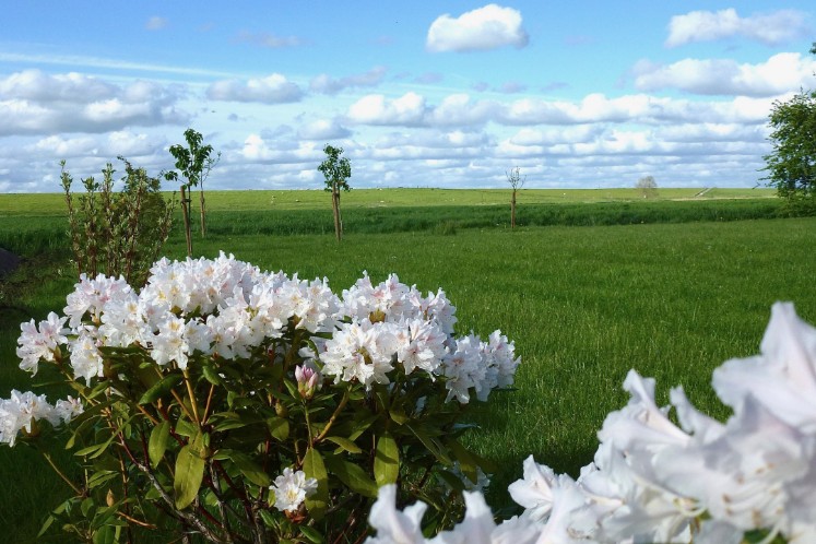 Blick ins Land Blick ins Land